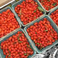 EU-Standard Non-GMO-Goji-Beeren im Einzelhandel